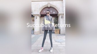 Succubus Returns