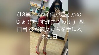 (18禁アニメ) 俺が姪（かのじょ）を○す理由（わけ） 四日目 彼が彼女たちを手に入れた日