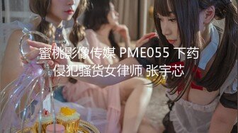 蜜桃影像传媒 PME055 下药侵犯骚货女律师 张宇芯