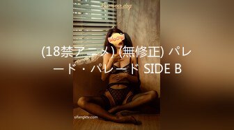 (18禁アニメ) (無修正) パレード・パレード SIDE B