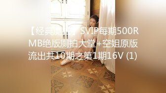 【经典厕拍】SVIP每期500RMB绝版厕拍大堂+空姐原版流出共10期之第1期16V (1)