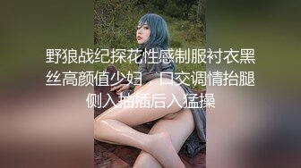 野狼战纪探花性感制服衬衣黑丝高颜值少妇，口交调情抬腿侧入抽插后入猛操