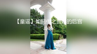 【童谣】如懿传之贵妃的后宫斗争