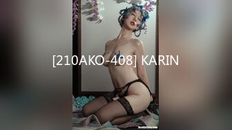 [210AKO-408] KARIN