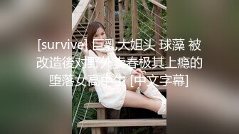 [survive] 巨乳大姐头 球藻 被改造後对野外卖春极其上瘾的堕落女高中生 [中文字幕]